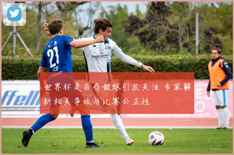 世界杯是否存假球引发关注 专家解析相关争议与比赛公正性